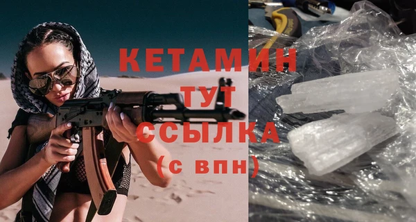 крисы Алексин