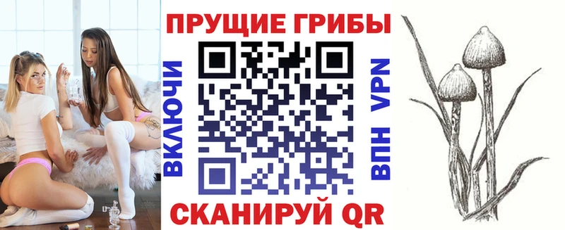 даркнет сайт  Мостовской  Псилоцибиновые грибы MAGIC MUSHROOMS 