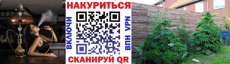 Бошки Шишки Bruce Banner  Мостовской 